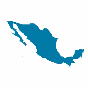 Meksika Vizesi